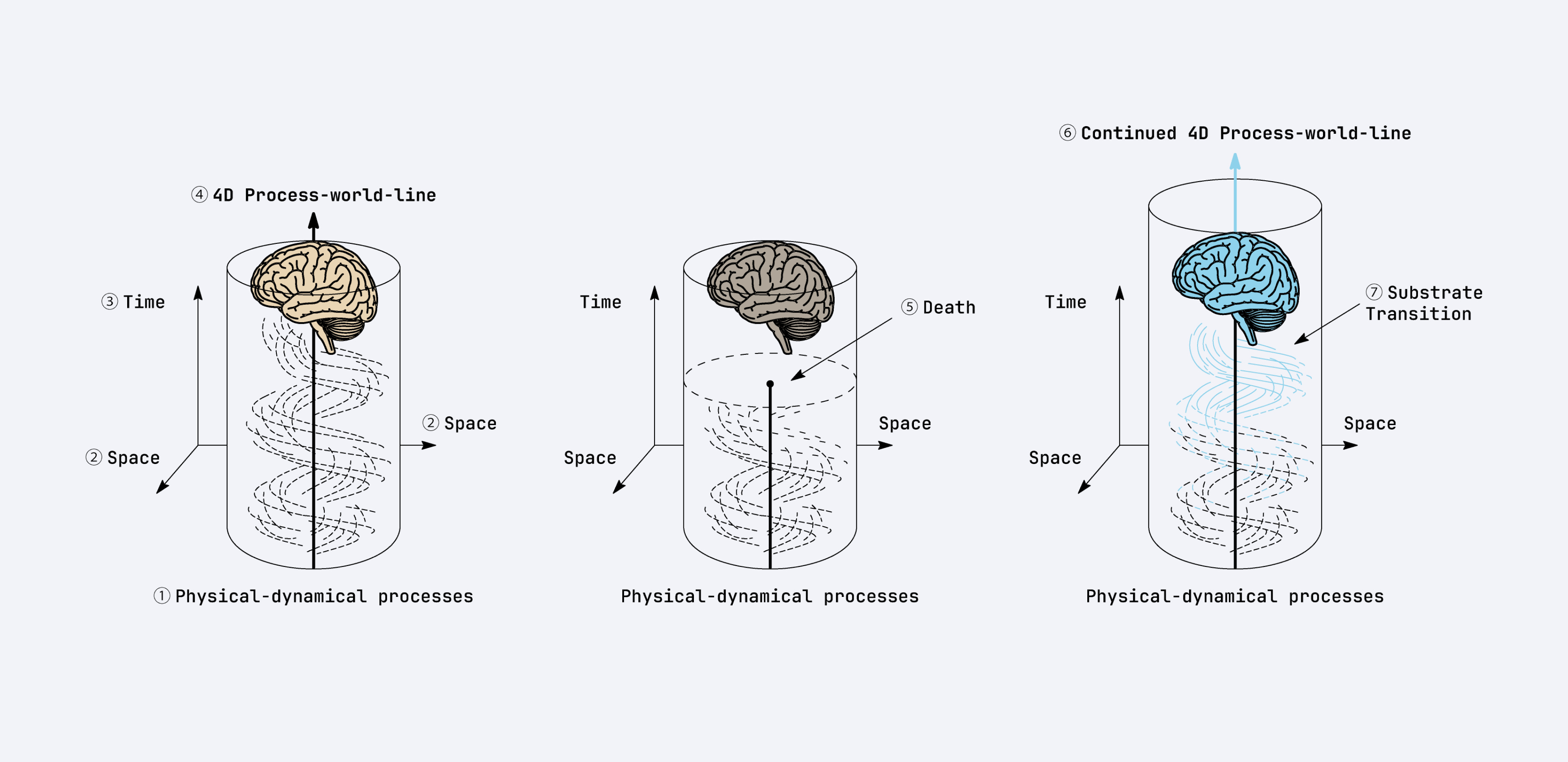 Diagram illustrating process-world-line continuity during substrate transition